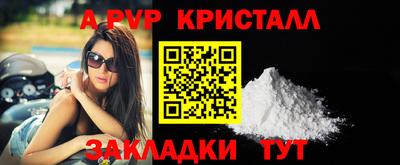 спиды Гатчина