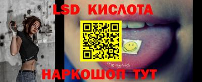 спиды Гатчина
