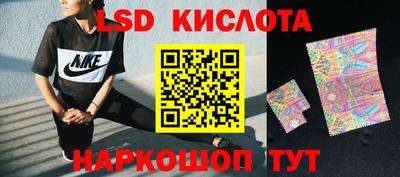 спиды Гатчина