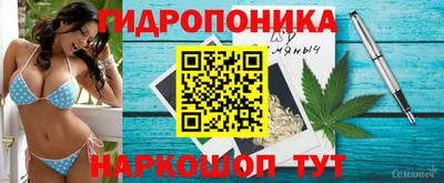спиды Гатчина