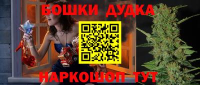 спиды Гатчина